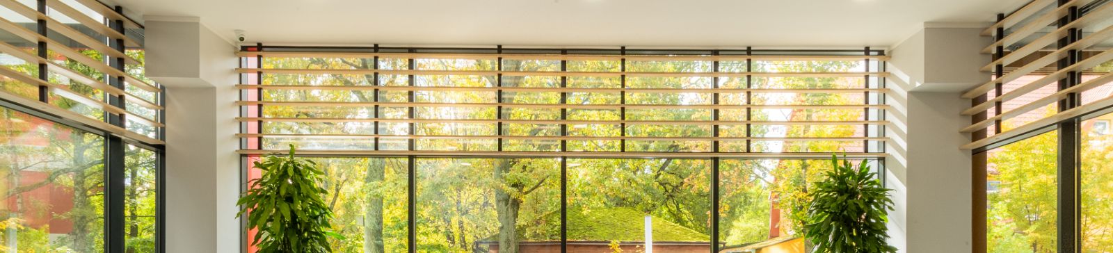 Window Shutters and Blinds in Echo Park